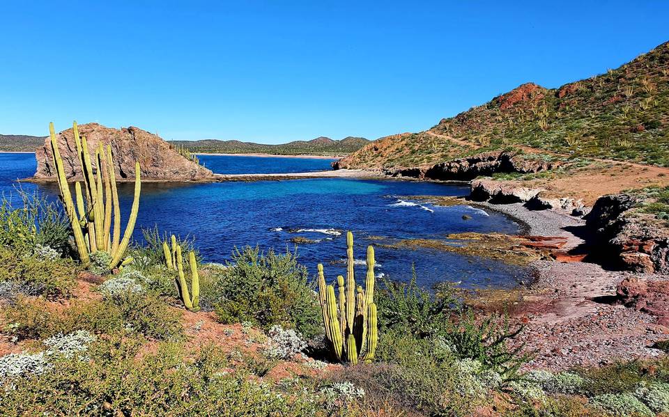 Playa San Agustín: un paraíso más, oculto muy cerca de Hermosillo - El Sol  de Hermosillo | Noticias Locales, Policiacas, sobre México, Sonora y el  Mundo