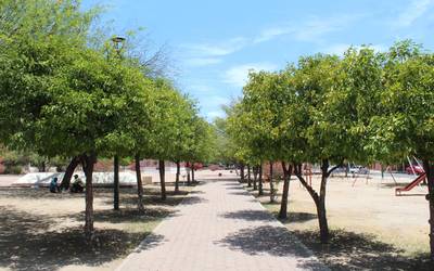 Estas son las mejores imágenes para celebrar el Día del Árbol - El Sol de  Hermosillo | Noticias Locales, Policiacas, sobre México, Sonora y el Mundo