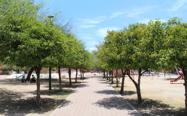 diputados areas verdes hermosillo sonora medio ambiente espacios publicos  habitantes leyes calidad del aire temperaturas ecologia - El Sol de  Hermosillo | Noticias Locales, Policiacas, sobre México, Sonora y el Mundo