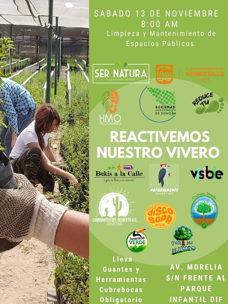 Ambientalistas rescatarán plantas del vivero municipal de Hermosillo - El  Sol de Hermosillo | Noticias Locales, Policiacas, sobre México, Sonora y el  Mundo