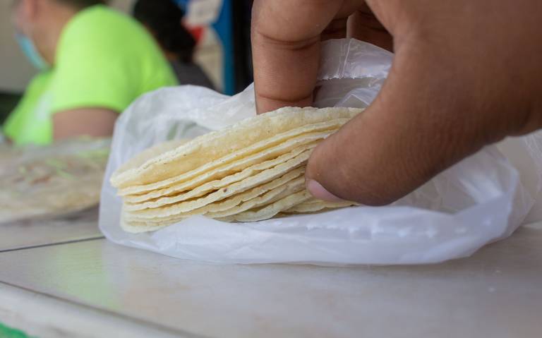 https://www.elsoldehermosillo.com.mx/finanzas/g4g84u-las-tortillas-de-maiz-se-han-encarecido/ALTERNATES/LANDSCAPE_768/Las%20tortillas%20de%20ma%C3%ADz%20se%20han%20encarecido