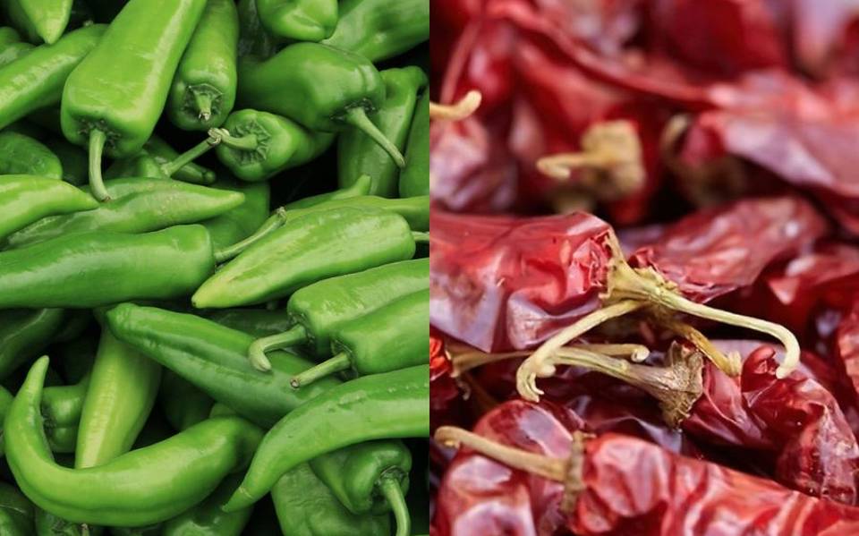 El chile verde y el colorado son el mismo? 7 tipos de chiles y sus  versiones en seco - El Sol de Hermosillo | Noticias Locales, Policiacas,  sobre México, Sonora y el Mundo