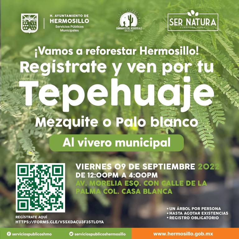 Ayuntamiento y colectivos donarán plantas para reforestar Hermosillo - El  Sol de Hermosillo | Noticias Locales, Policiacas, sobre México, Sonora y el  Mundo