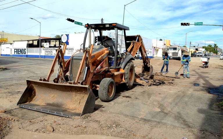 Corça filhote é resgatada com quadro de desnutrição em Jacarezinho, Norte  e Noroeste