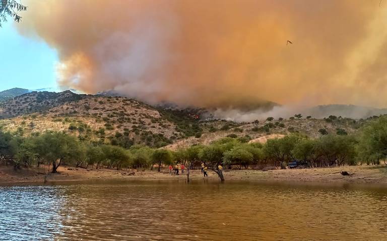 Presumo Sonora - ¡Es tiempo de diccionario sonorense! Chúcata Dulce  chicloso que brota del árbol de mezquite, sacadientes de tan pegajoso;  también significa ofensa, injuria. Ej. El niño anda todo chucatoso por